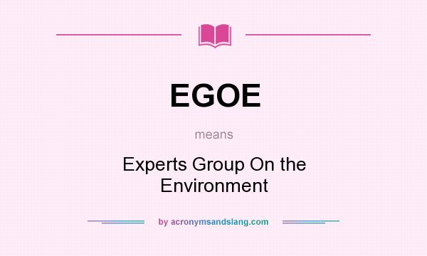 What does EGOE mean? It stands for Experts Group On the Environment