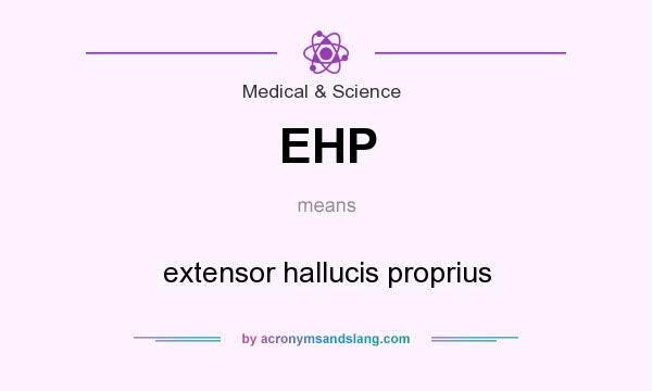 What does EHP mean? It stands for extensor hallucis proprius