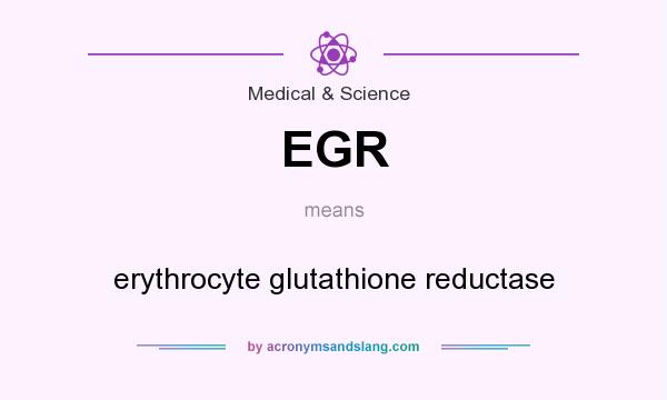 What does EGR mean? It stands for erythrocyte glutathione reductase