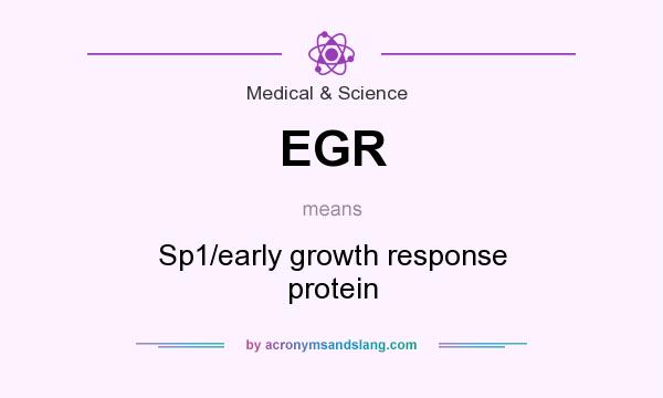 What does EGR mean? It stands for Sp1/early growth response protein