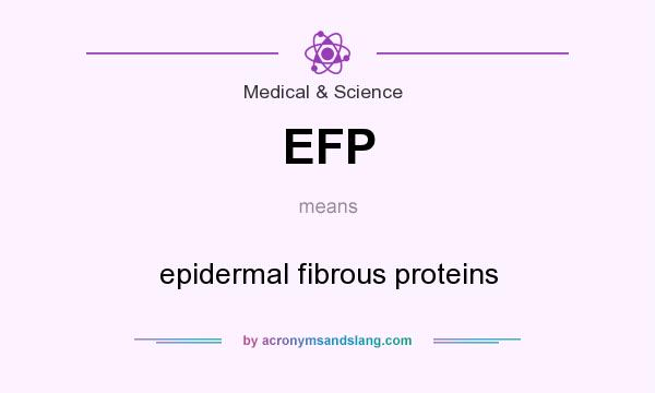What does EFP mean? It stands for epidermal fibrous proteins