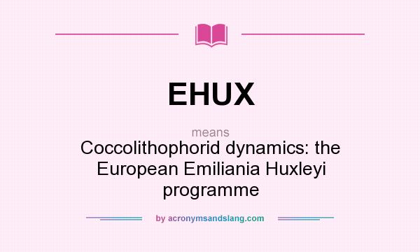 What does EHUX mean? It stands for Coccolithophorid dynamics: the European Emiliania Huxleyi programme