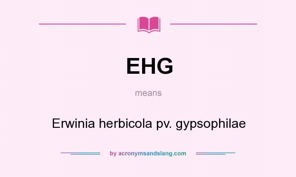 What does EHG mean? It stands for Erwinia herbicola pv. gypsophilae