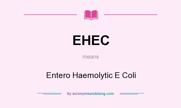 What does EHEC mean? It stands for Entero Haemolytic E Coli