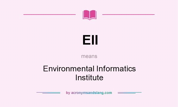 What does EII mean? It stands for Environmental Informatics Institute