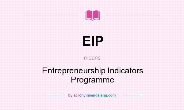 What does EIP mean? It stands for Entrepreneurship Indicators Programme
