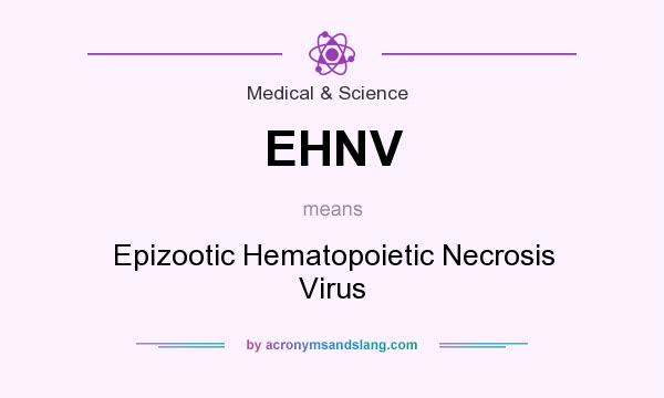What does EHNV mean? It stands for Epizootic Hematopoietic Necrosis Virus