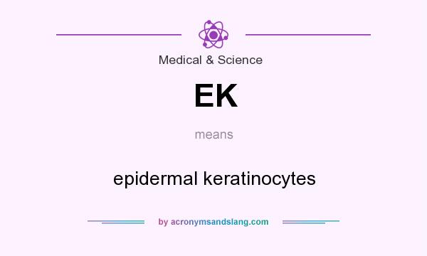 What does EK mean? It stands for epidermal keratinocytes