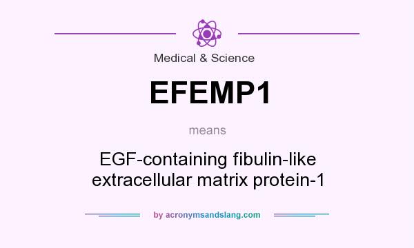 What does EFEMP1 mean? It stands for EGF-containing fibulin-like extracellular matrix protein-1