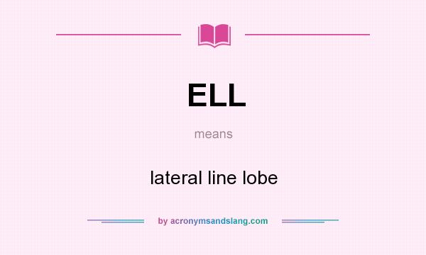 What does ELL mean? It stands for lateral line lobe