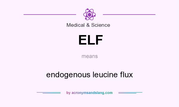 What does ELF mean? It stands for endogenous leucine flux