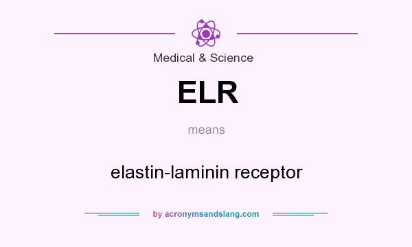 What does ELR mean? It stands for elastin-laminin receptor