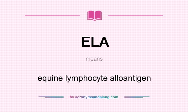 What does ELA mean? It stands for equine lymphocyte alloantigen