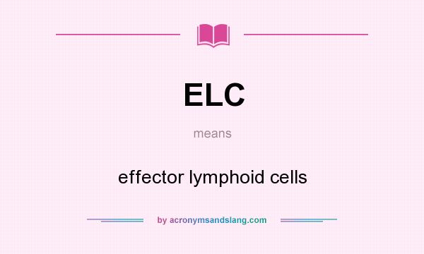 What does ELC mean? It stands for effector lymphoid cells
