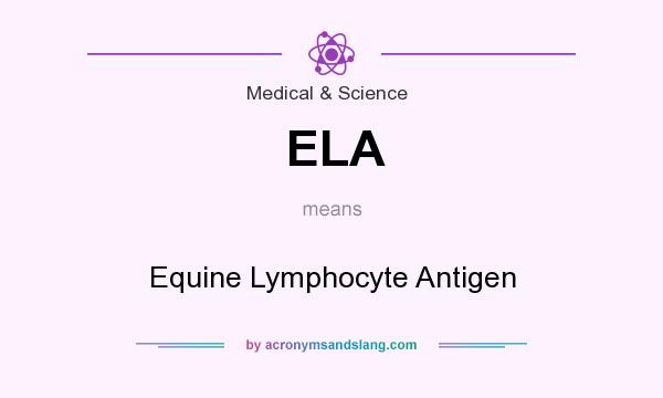 What does ELA mean? It stands for Equine Lymphocyte Antigen