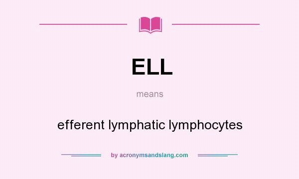 What does ELL mean? It stands for efferent lymphatic lymphocytes