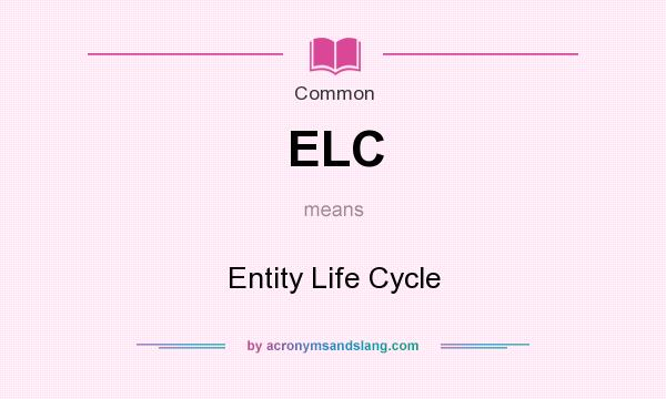 What does ELC mean? It stands for Entity Life Cycle