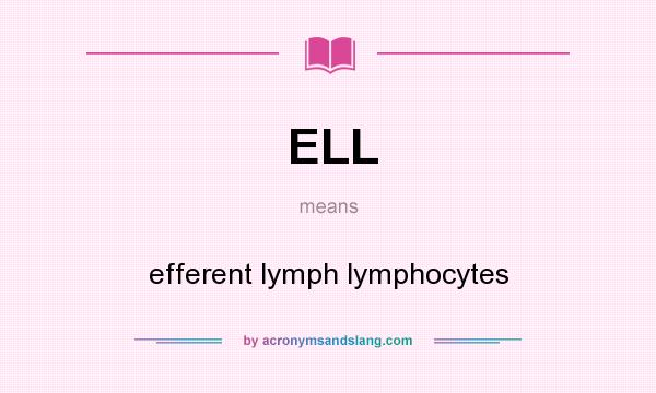 What does ELL mean? It stands for efferent lymph lymphocytes
