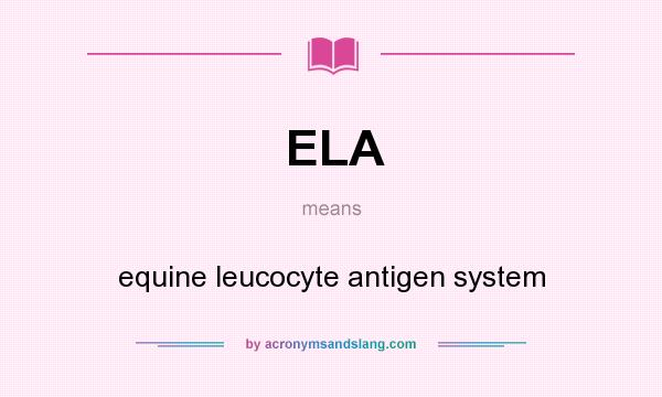 What does ELA mean? It stands for equine leucocyte antigen system