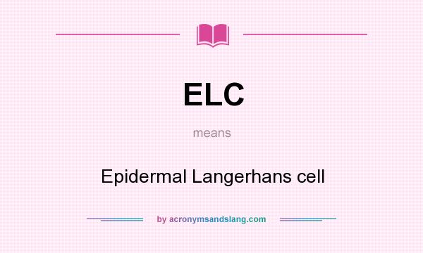 What does ELC mean? It stands for Epidermal Langerhans cell
