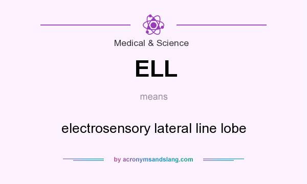 What does ELL mean? It stands for electrosensory lateral line lobe