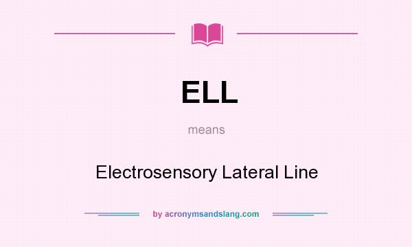 What does ELL mean? It stands for Electrosensory Lateral Line