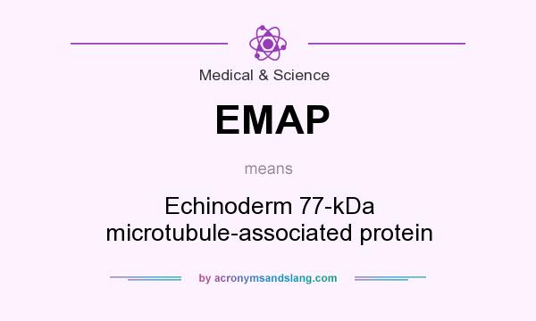 What does EMAP mean? It stands for Echinoderm 77-kDa microtubule-associated protein