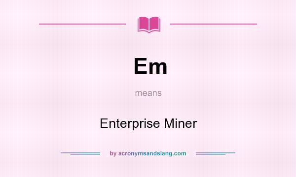 What does Em mean? It stands for Enterprise Miner