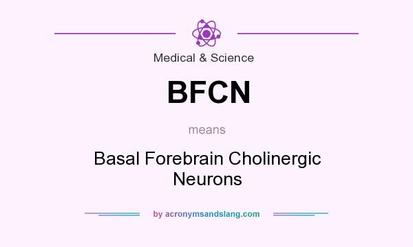 What does BFCN mean? It stands for Basal Forebrain Cholinergic Neurons
