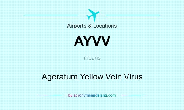 What does AYVV mean? It stands for Ageratum Yellow Vein Virus