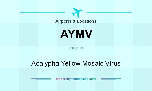 What does AYMV mean? It stands for Acalypha Yellow Mosaic Virus
