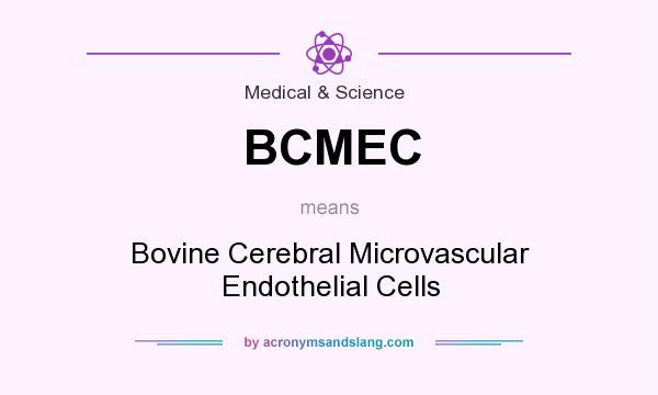 What does BCMEC mean? It stands for Bovine Cerebral Microvascular Endothelial Cells
