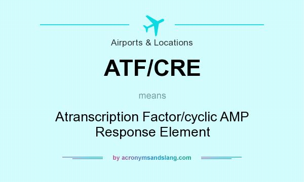 What does ATF/CRE mean? It stands for Atranscription Factor/cyclic AMP Response Element
