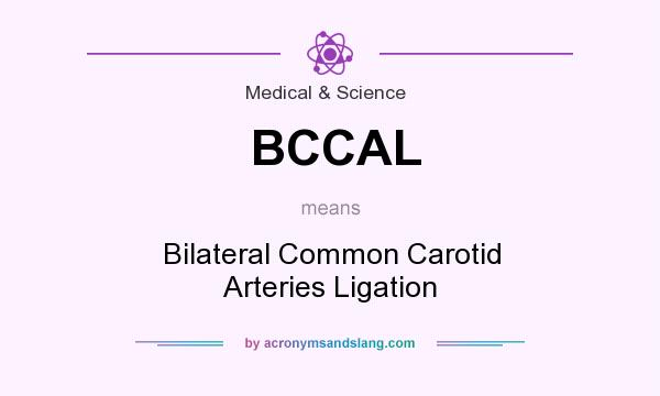 What does BCCAL mean? It stands for Bilateral Common Carotid Arteries Ligation