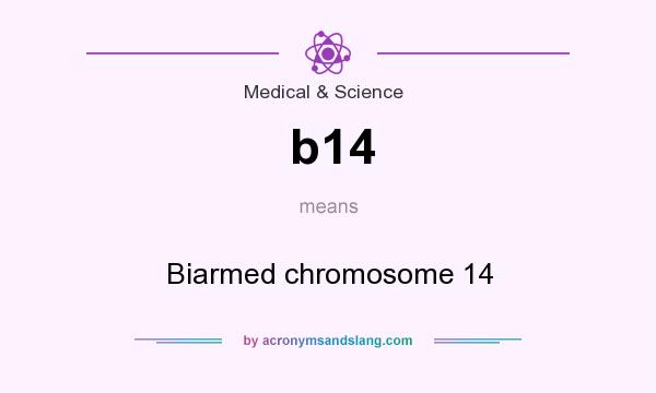 What does b14 mean? It stands for Biarmed chromosome 14