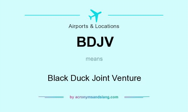 What does BDJV mean? It stands for Black Duck Joint Venture