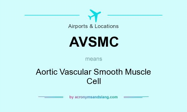 What does AVSMC mean? It stands for Aortic Vascular Smooth Muscle Cell