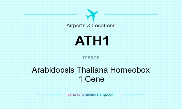 What does ATH1 mean? It stands for Arabidopsis Thaliana Homeobox 1 Gene
