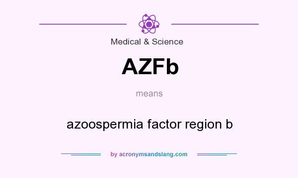 What does AZFb mean? It stands for azoospermia factor region b