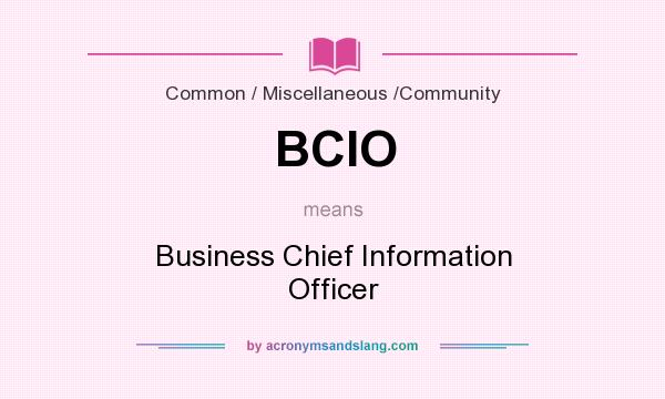 What does BCIO mean? It stands for Business Chief Information Officer