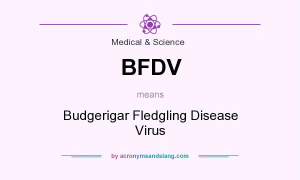 What does BFDV mean? It stands for Budgerigar Fledgling Disease Virus