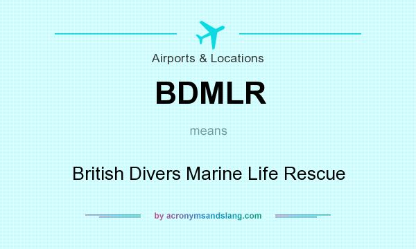 What does BDMLR mean? It stands for British Divers Marine Life Rescue