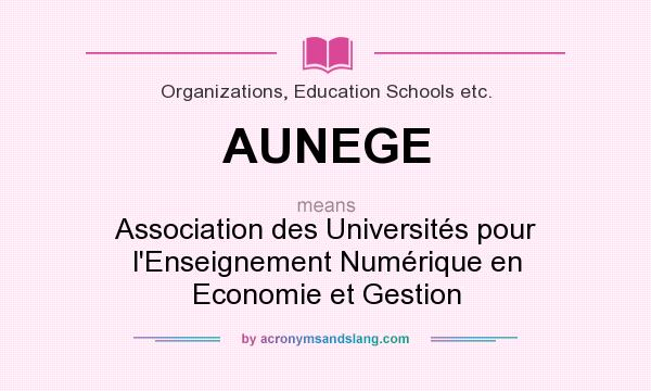 What does AUNEGE mean? It stands for Association des Universités pour l`Enseignement Numérique en Economie et Gestion