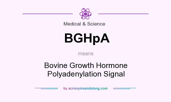 What does BGHpA mean? It stands for Bovine Growth Hormone Polyadenylation Signal