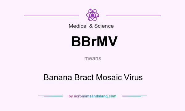 What does BBrMV mean? It stands for Banana Bract Mosaic Virus