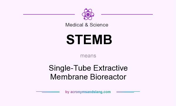 What does STEMB mean? It stands for Single-Tube Extractive Membrane Bioreactor