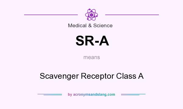 What does SR-A mean? It stands for Scavenger Receptor Class A