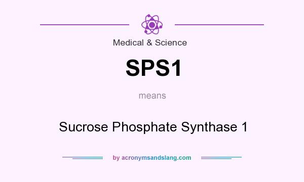 What does SPS1 mean? It stands for Sucrose Phosphate Synthase 1