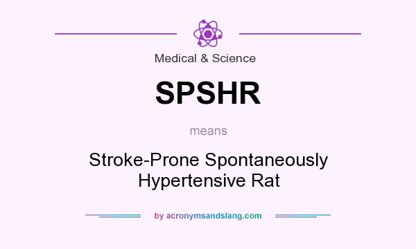 What does SPSHR mean? It stands for Stroke-Prone Spontaneously Hypertensive Rat