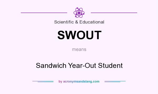 What does SWOUT mean? It stands for Sandwich Year-Out Student